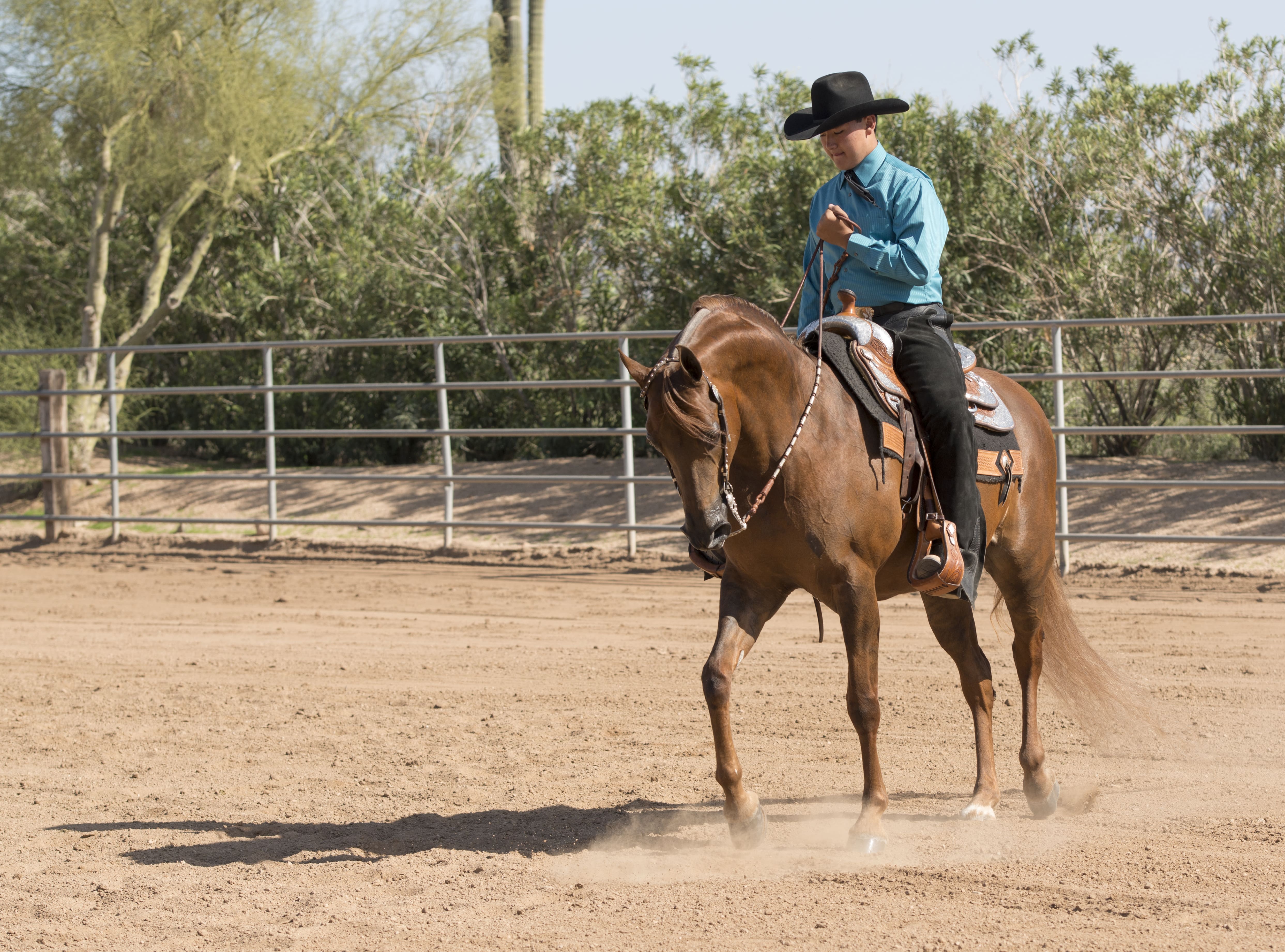 Monta Western